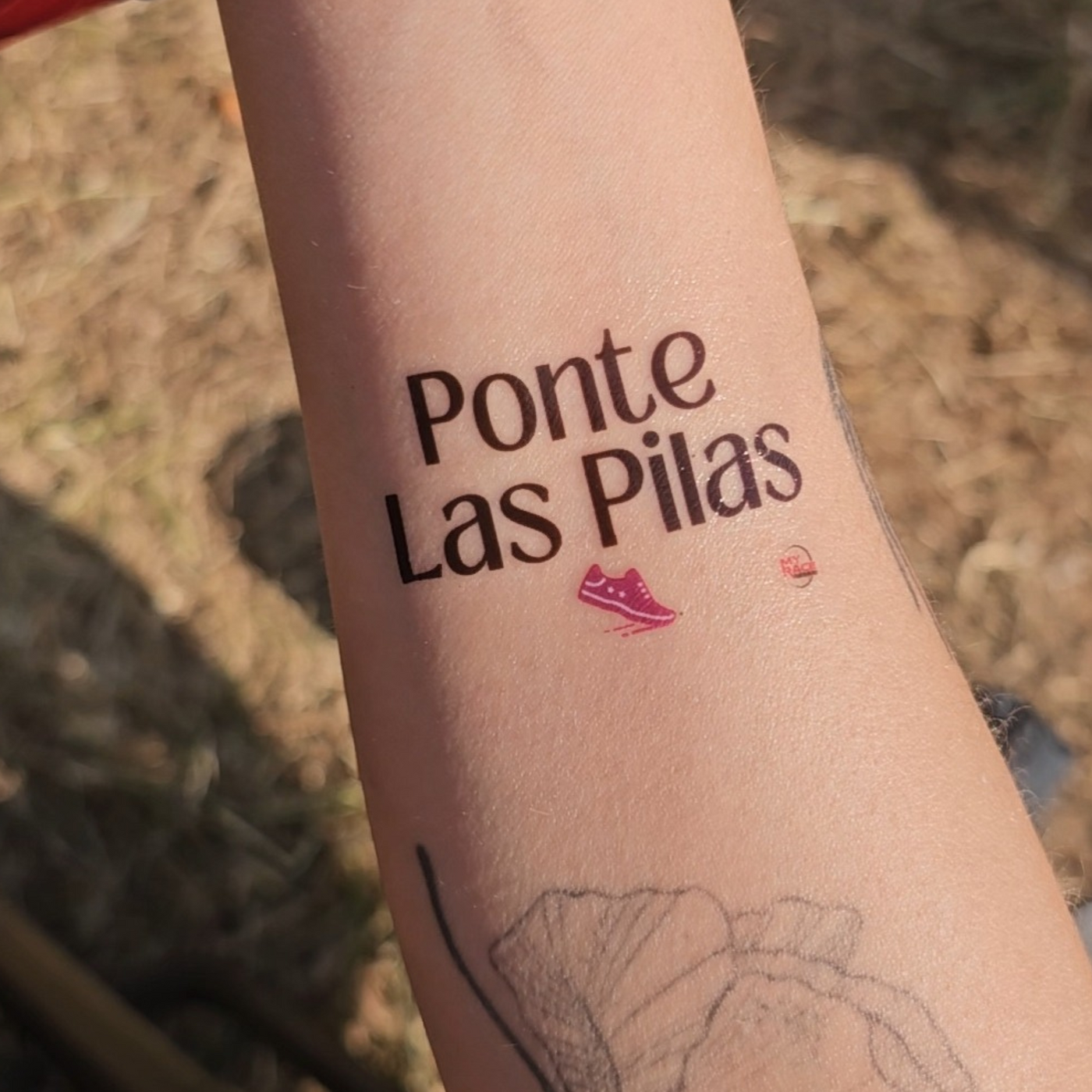 Ponte Las Pilsa